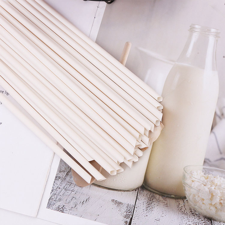 Wholesale Bamboo Fiber Straw 