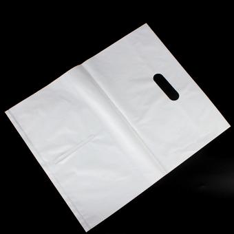 biodegradable doggy bag